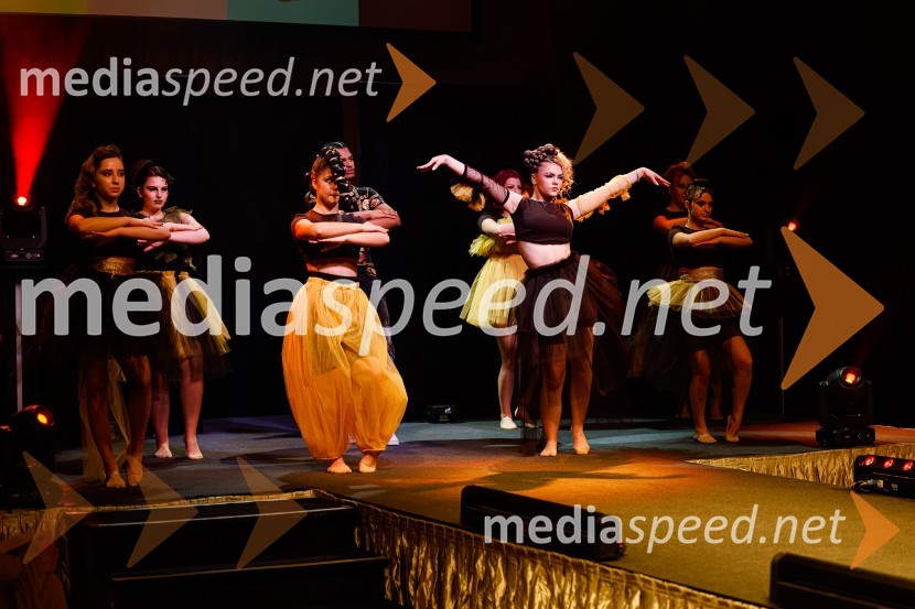 Festival lepote v Pionirskem domu