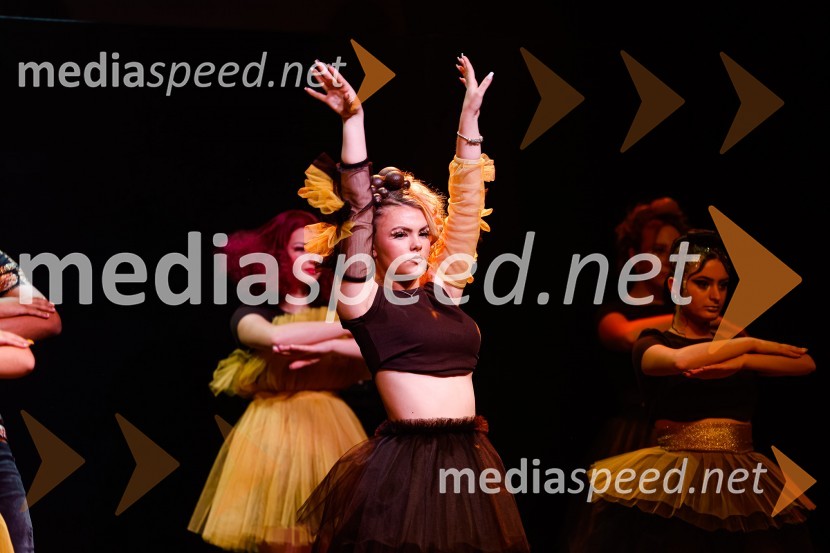 Festival lepote v Pionirskem domu