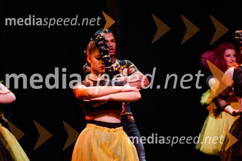 Festival lepote v Pionirskem domu