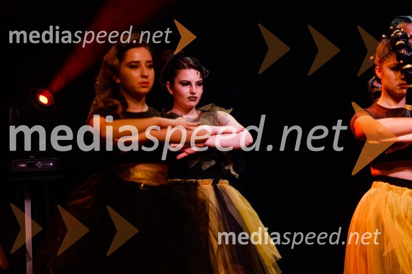 Festival lepote v Pionirskem domu