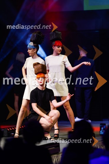 Festival lepote v Pionirskem domu