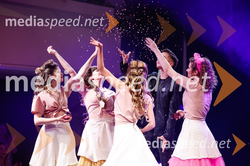 Festival lepote v Pionirskem domu