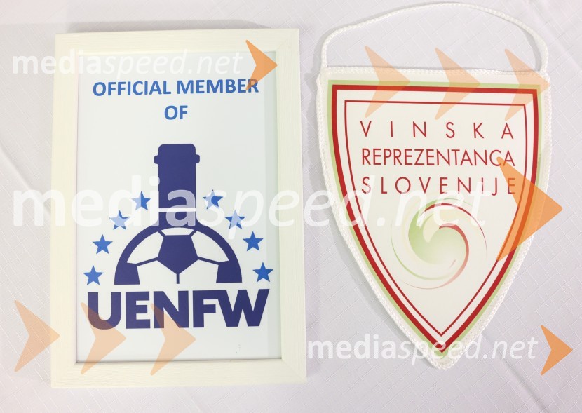 Novinarska konferenca Vinske reprezentance Slovenije pred odhodom na evropsko prvenstvo