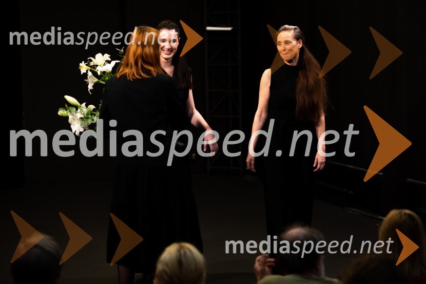 Dolg, premiera drame SLG Celje