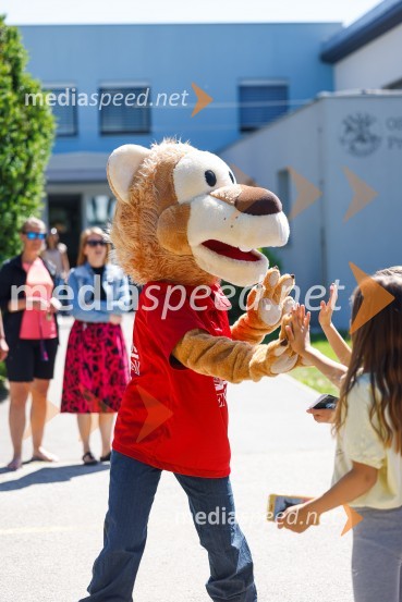 3D zebra odslej tudi pred OŠ Predoslje