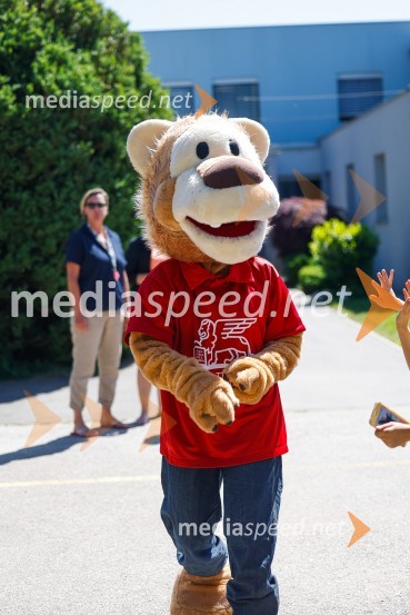 3D zebra odslej tudi pred OŠ Predoslje