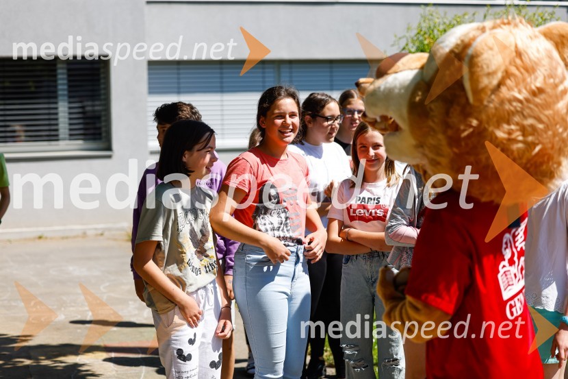 3D zebra odslej tudi pred OŠ Predoslje