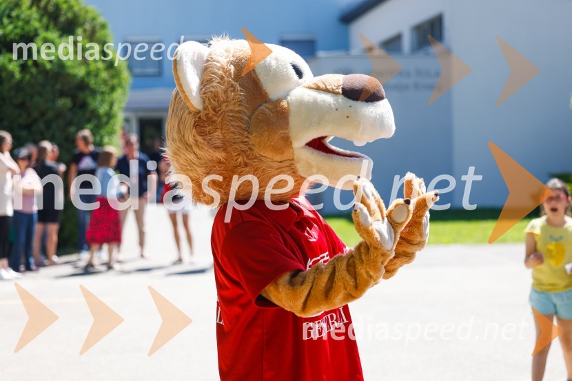 3D zebra odslej tudi pred OŠ Predoslje