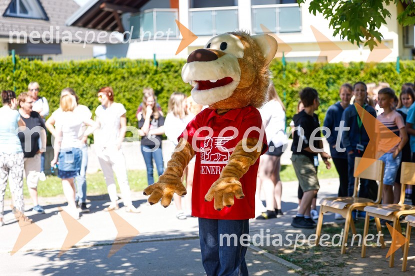 3D zebra odslej tudi pred OŠ Predoslje