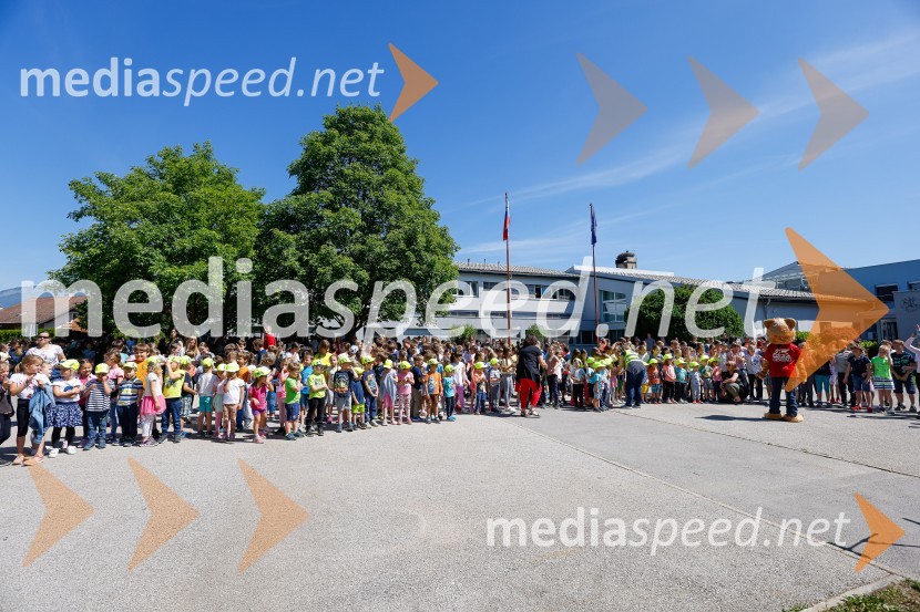 3D zebra odslej tudi pred OŠ Predoslje