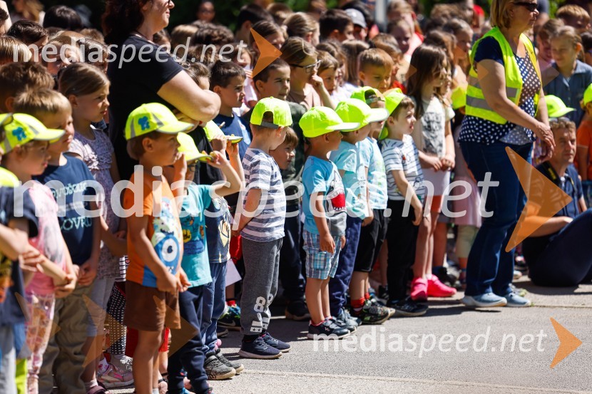 3D zebra odslej tudi pred OŠ Predoslje