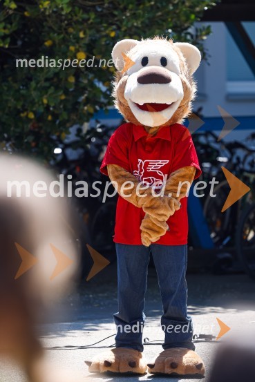 3D zebra odslej tudi pred OŠ Predoslje