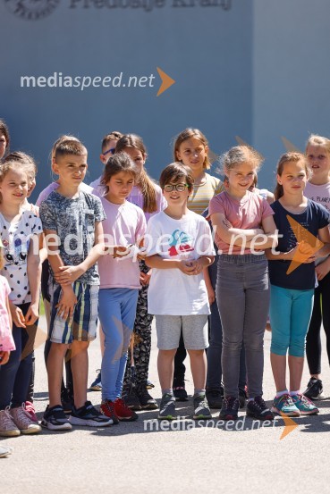 3D zebra odslej tudi pred OŠ Predoslje