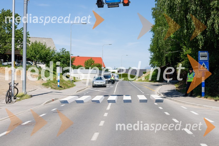 3D zebra odslej tudi pred OŠ Predoslje