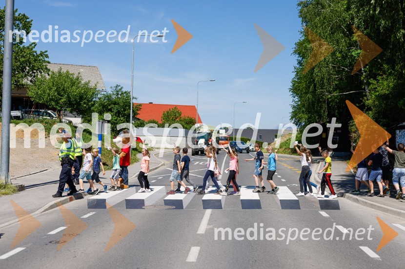 3D zebra odslej tudi pred OŠ Predoslje