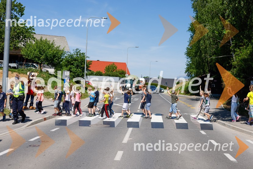 3D zebra odslej tudi pred OŠ Predoslje