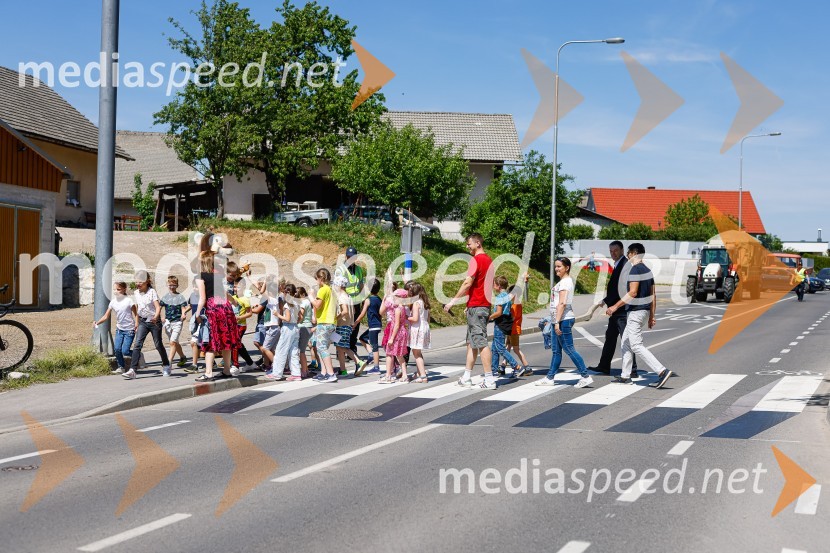 3D zebra odslej tudi pred OŠ Predoslje