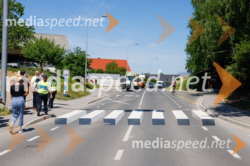 3D zebra odslej tudi pred OŠ Predoslje