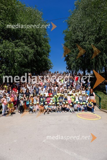 3D zebra odslej tudi pred OŠ Predoslje