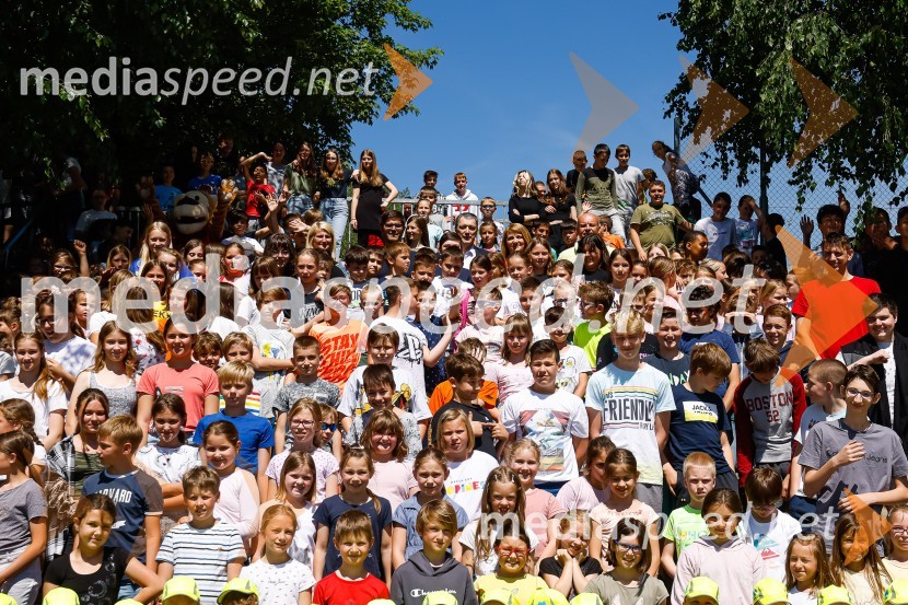 3D zebra odslej tudi pred OŠ Predoslje