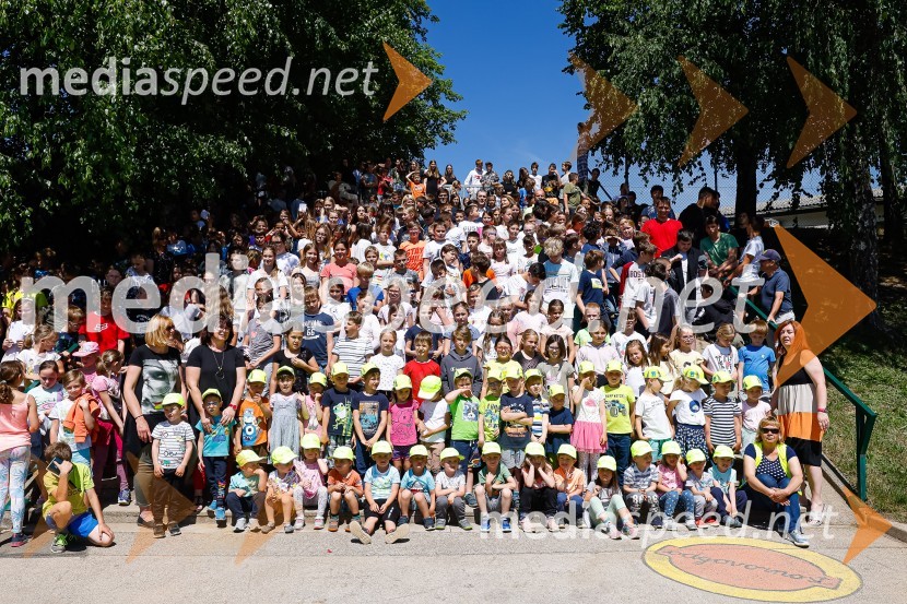 3D zebra odslej tudi pred OŠ Predoslje