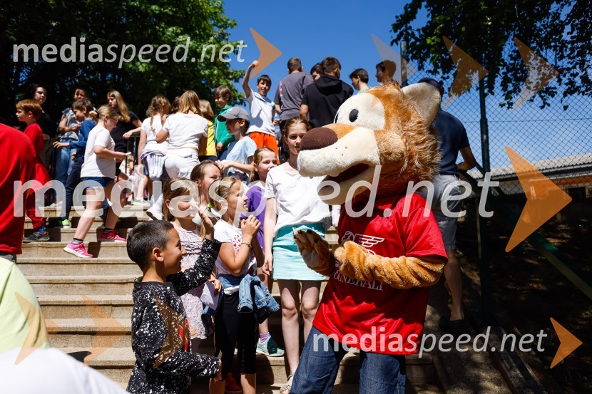 3D zebra odslej tudi pred OŠ Predoslje