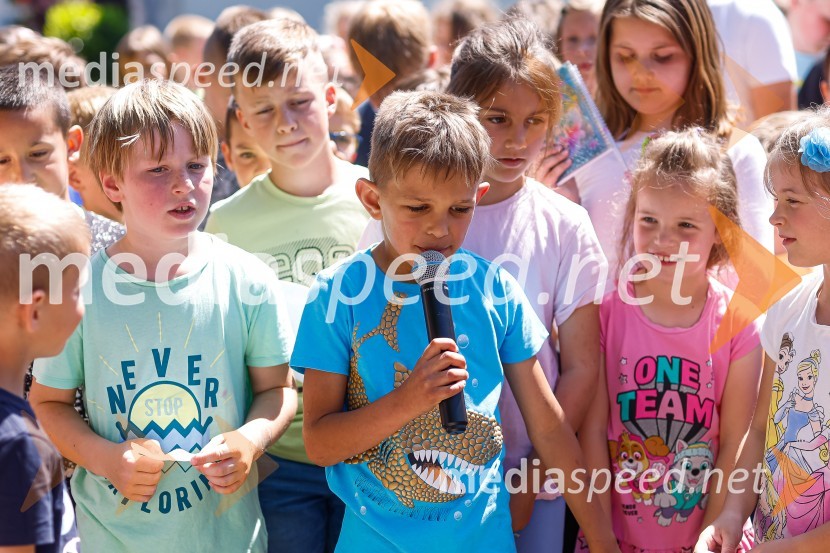 3D zebra odslej tudi pred OŠ Predoslje