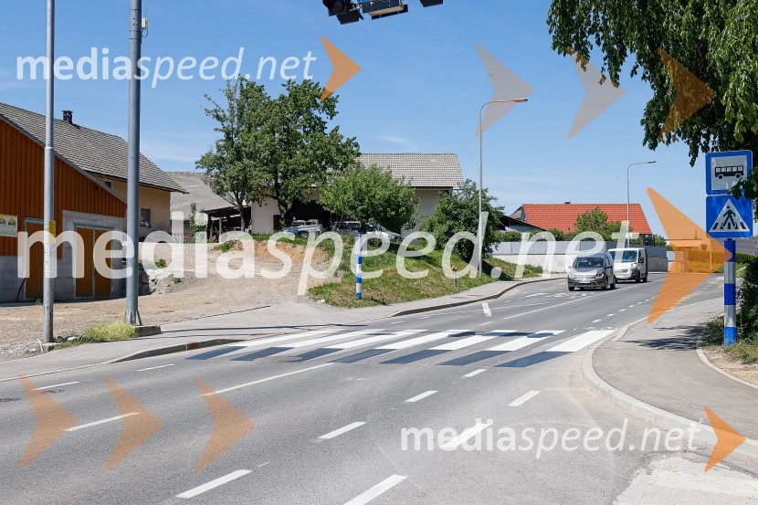 3D zebra odslej tudi pred OŠ Predoslje