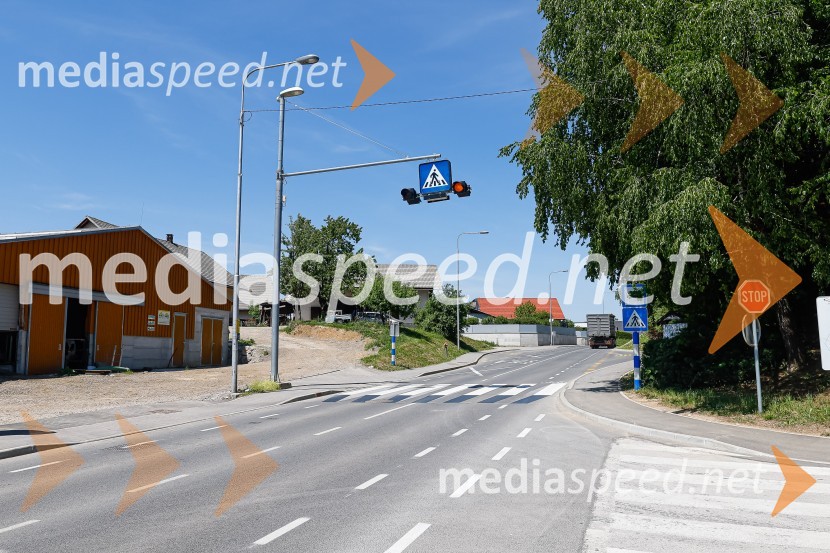 3D zebra odslej tudi pred OŠ Predoslje