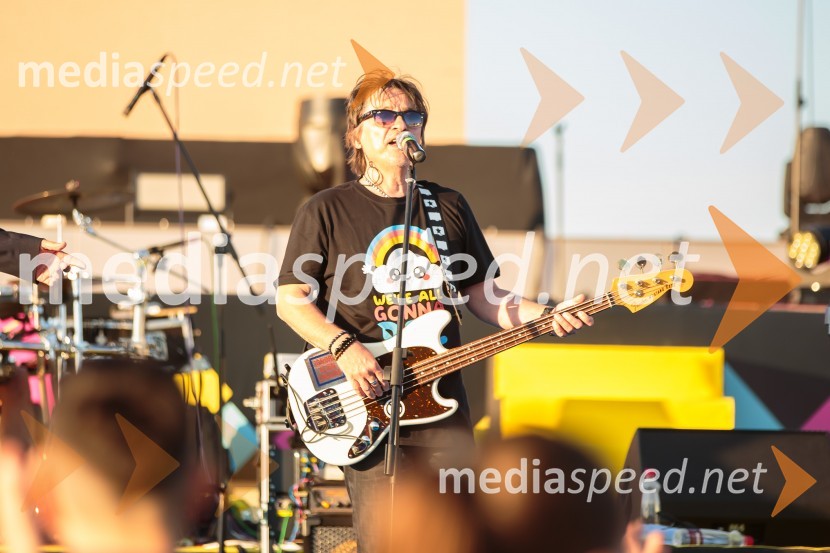 Aleja, 2. rojstni dan