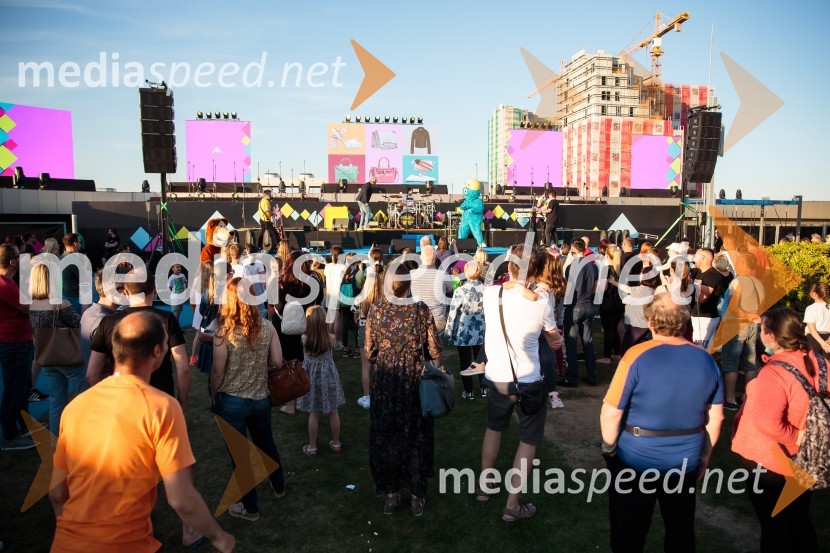 Aleja, 2. rojstni dan