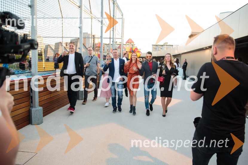 Aleja, 2. rojstni dan