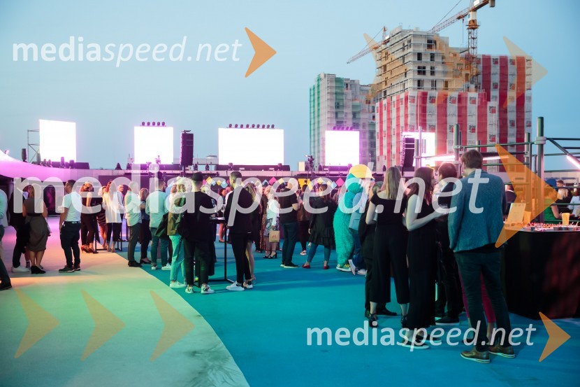 Aleja, 2. rojstni dan