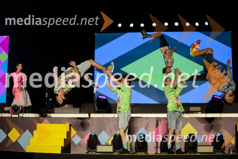 Aleja, 2. rojstni dan