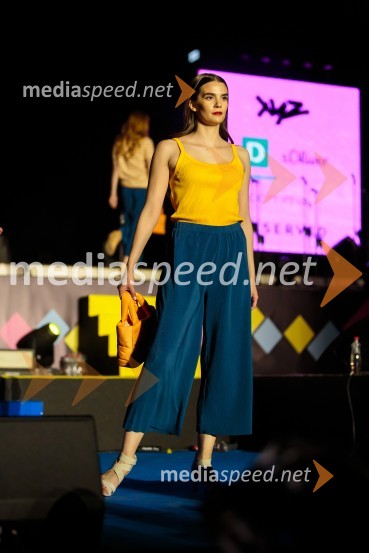 Aleja, 2. rojstni dan