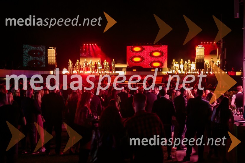 Aleja, 2. rojstni dan