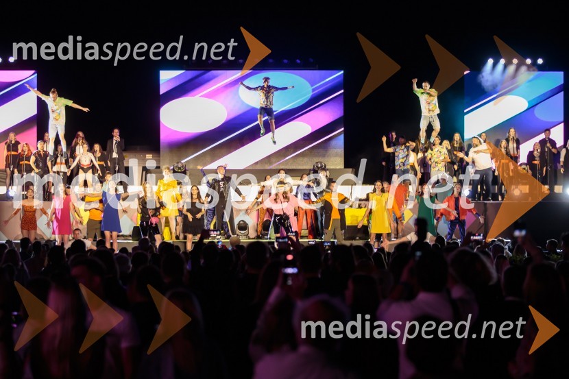 Aleja, 2. rojstni dan