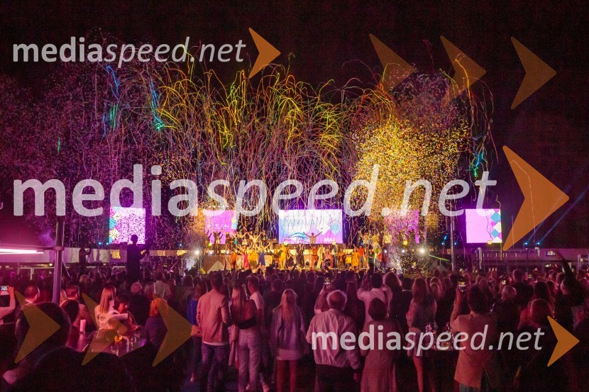 Aleja, 2. rojstni dan