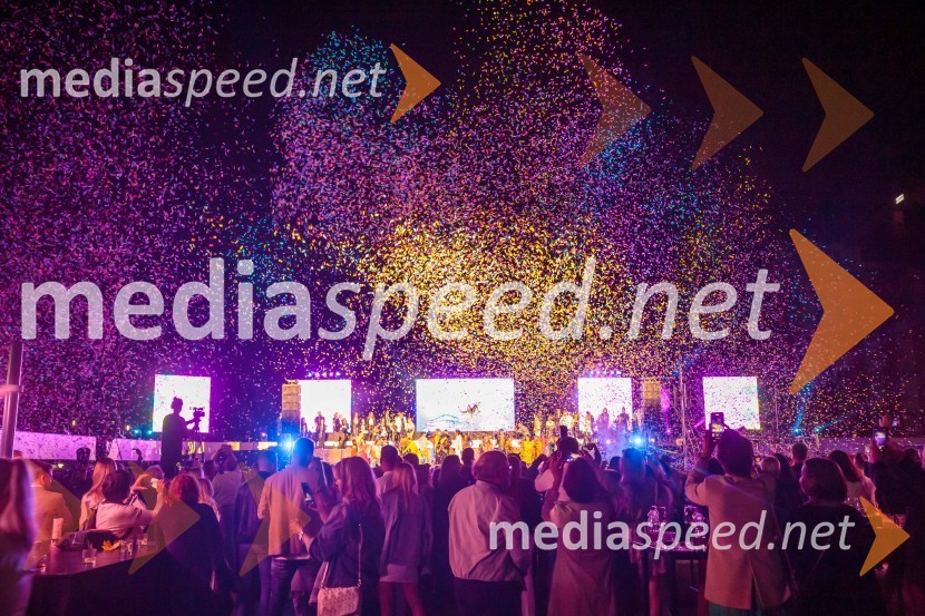 Aleja, 2. rojstni dan