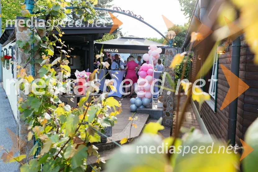 15. let delovanja nepremičninske agentke Mojce Žižek Mesarec