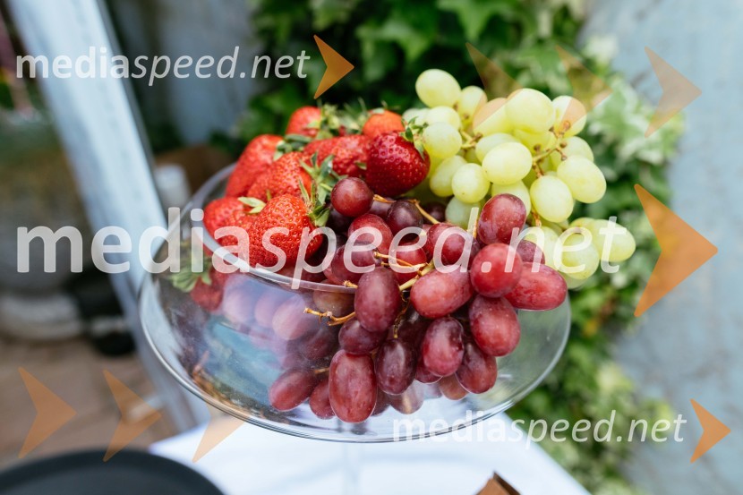 15. let delovanja nepremičninske agentke Mojce Žižek Mesarec