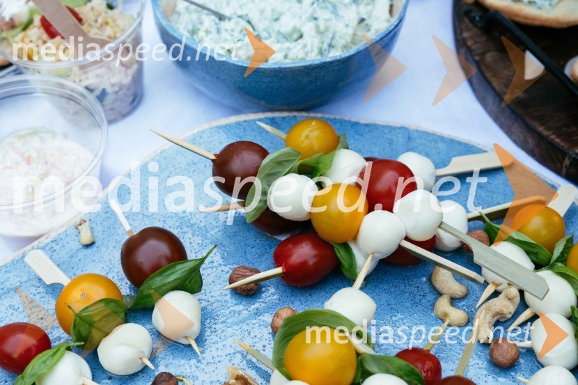 15. let delovanja nepremičninske agentke Mojce Žižek Mesarec