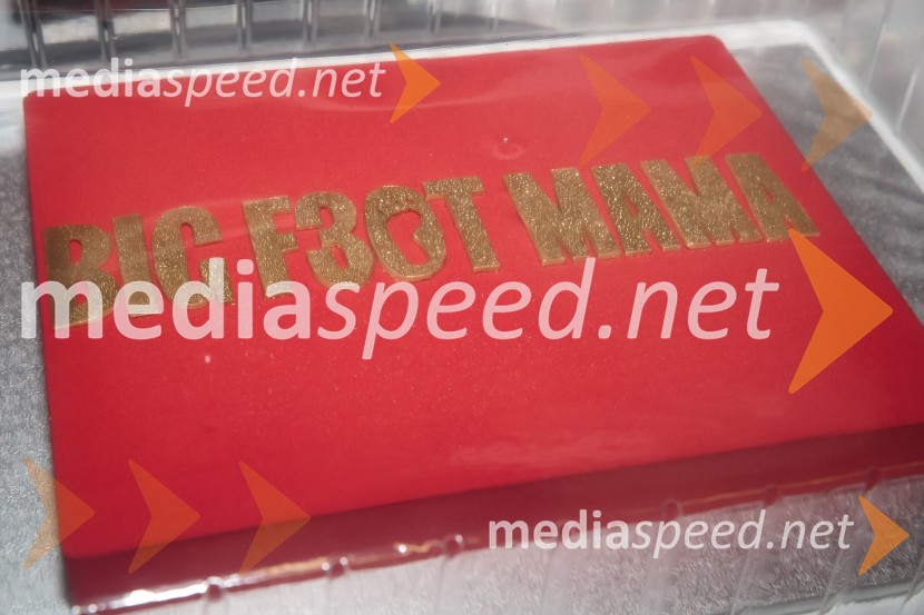 Koncert Big Foot Mama ob 30- letnici delovanja