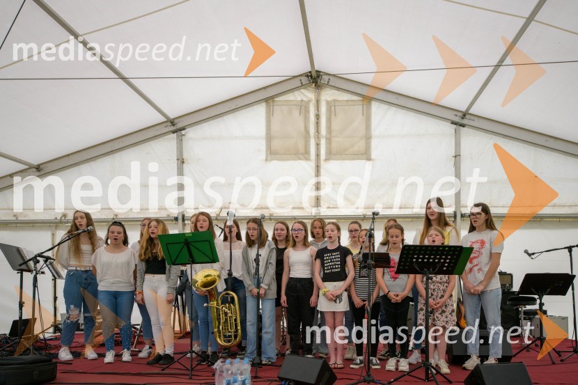 Vseslovensko srečanje društev združenih v Zvezo Sonček