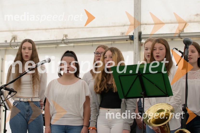 Vseslovensko srečanje društev združenih v Zvezo Sonček