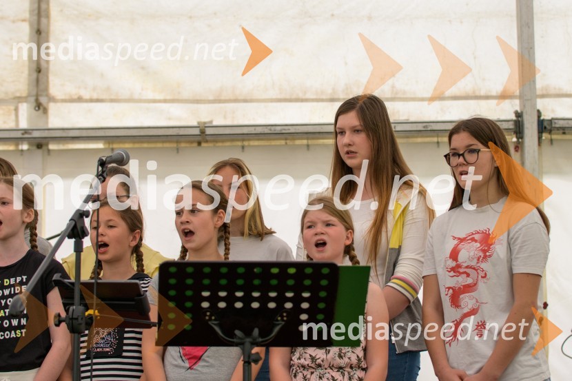 Vseslovensko srečanje društev združenih v Zvezo Sonček