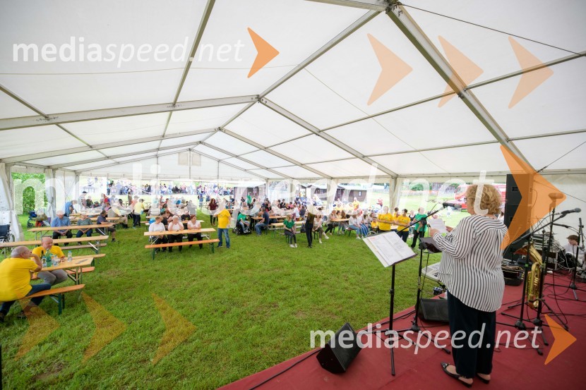 Vseslovensko srečanje društev združenih v Zvezo Sonček