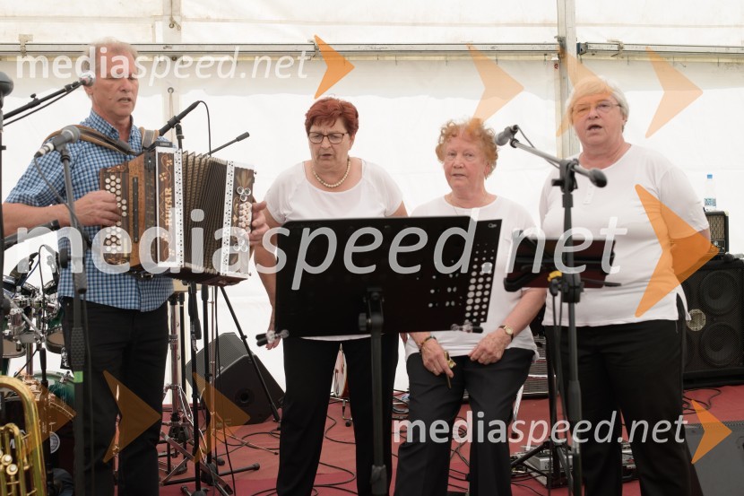 Vseslovensko srečanje društev združenih v Zvezo Sonček