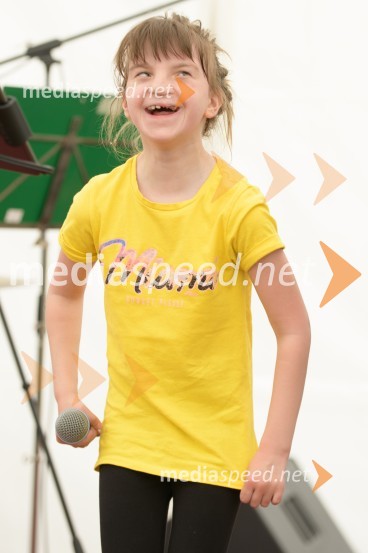 Vseslovensko srečanje društev združenih v Zvezo Sonček