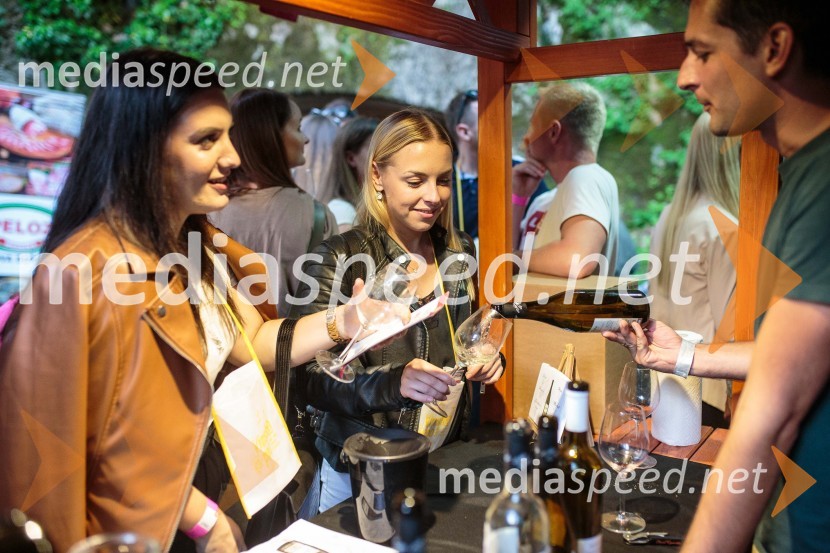 Vinska pot v rovih pod starim Kranjem, sobota